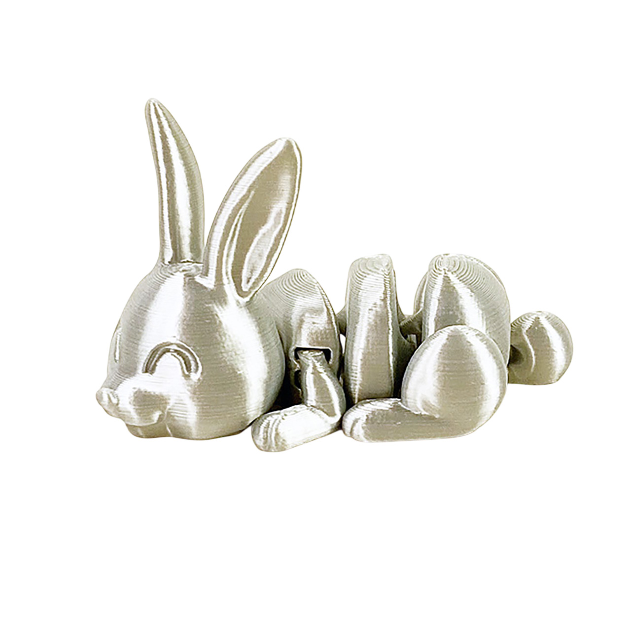 13017-02-Lankstus-Zaislas-Kiskiukas