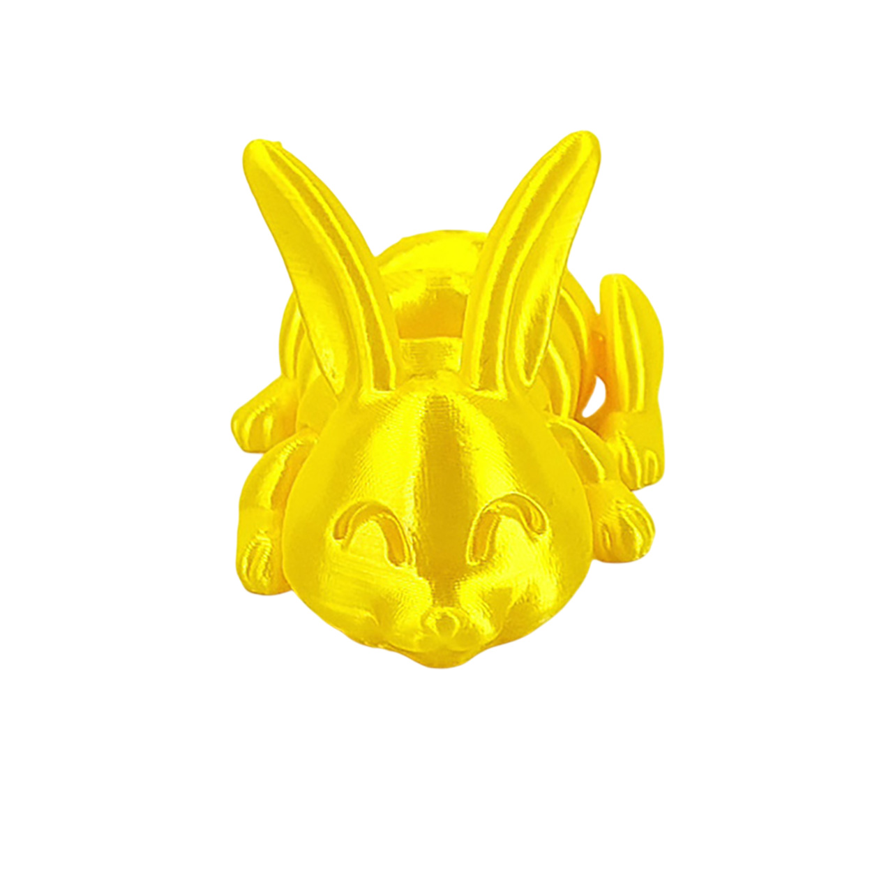 13017-03-Lankstus-Zaislas-Kiskiukas