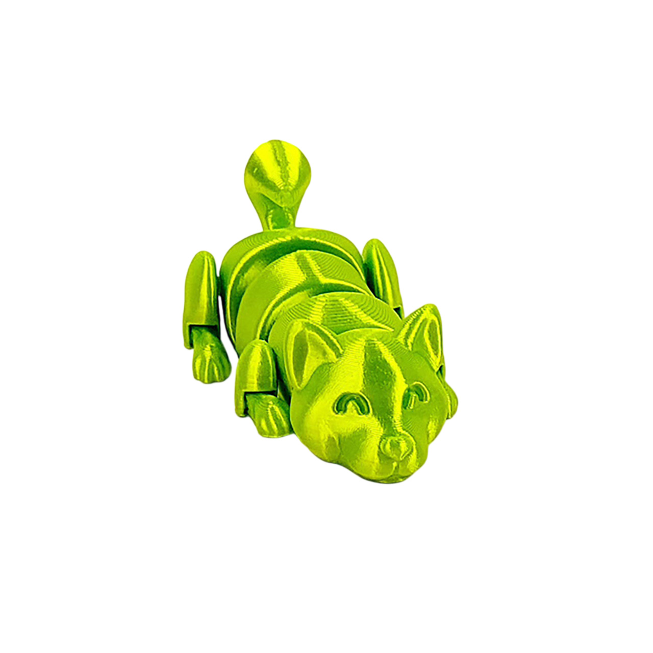 13021-02-Lankstus-Zaislas-Suniukas