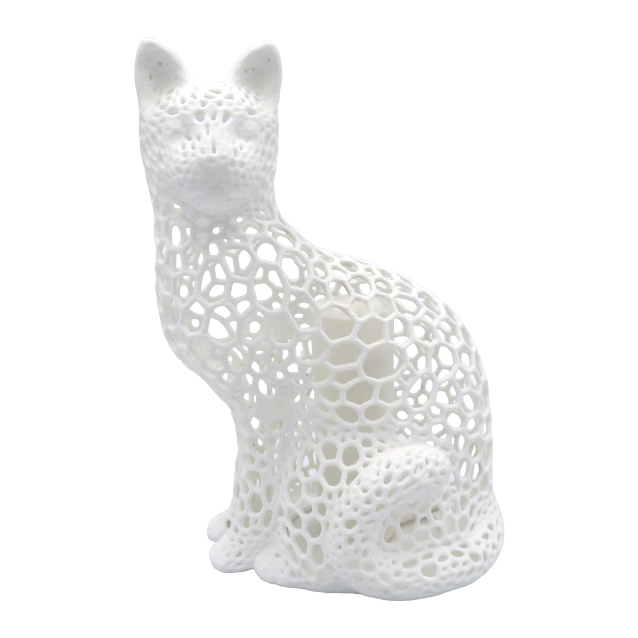 01 Katinas su ertmemis