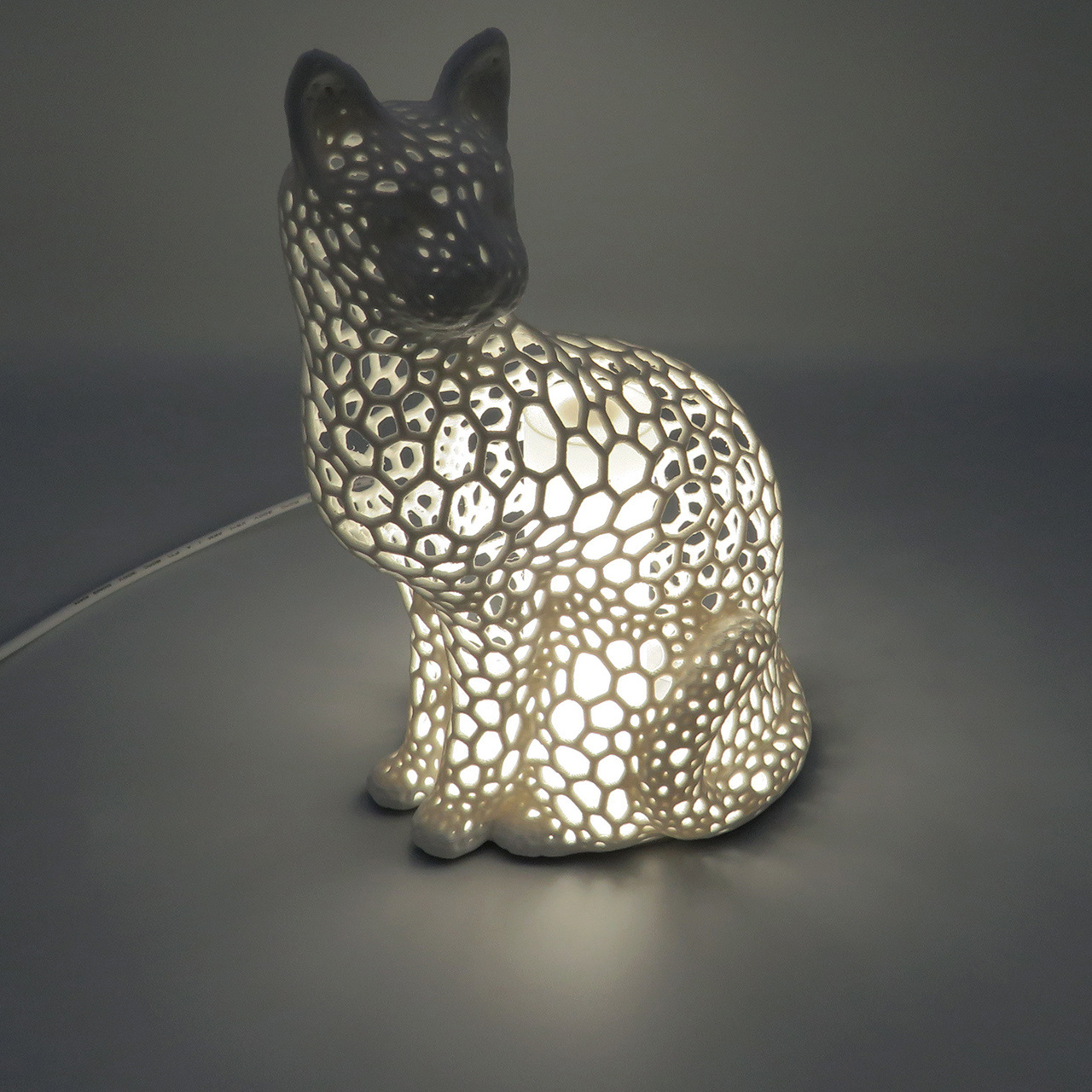 03 Katinas su ertmemis