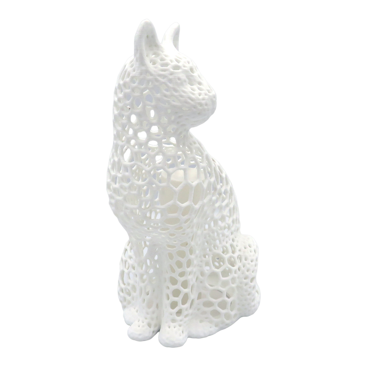 04 Katinas su ertmemis