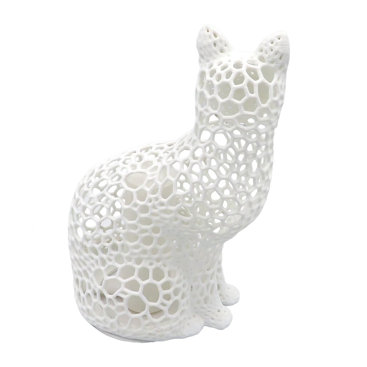 05 Katinas su ertmemis