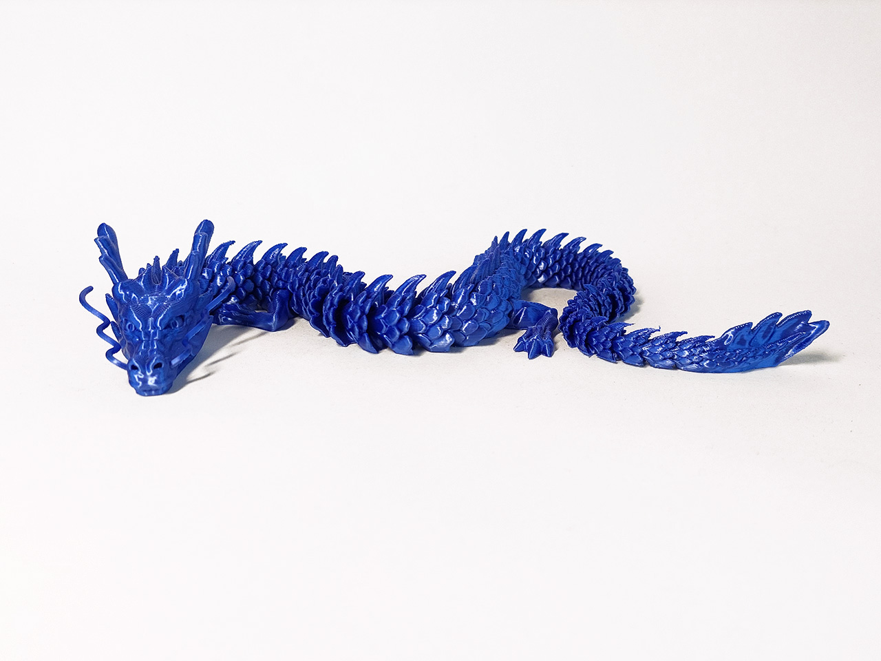 Lankstus drakonas 14006-1