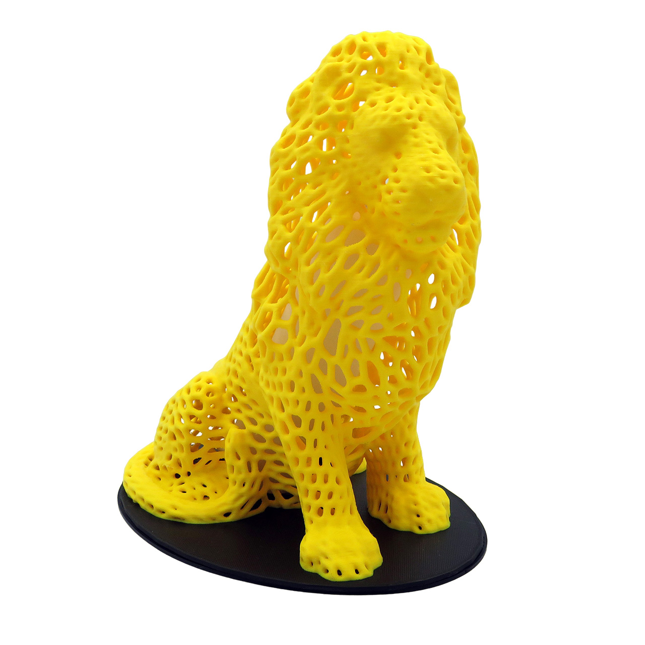 01 Liutas su ertmemis