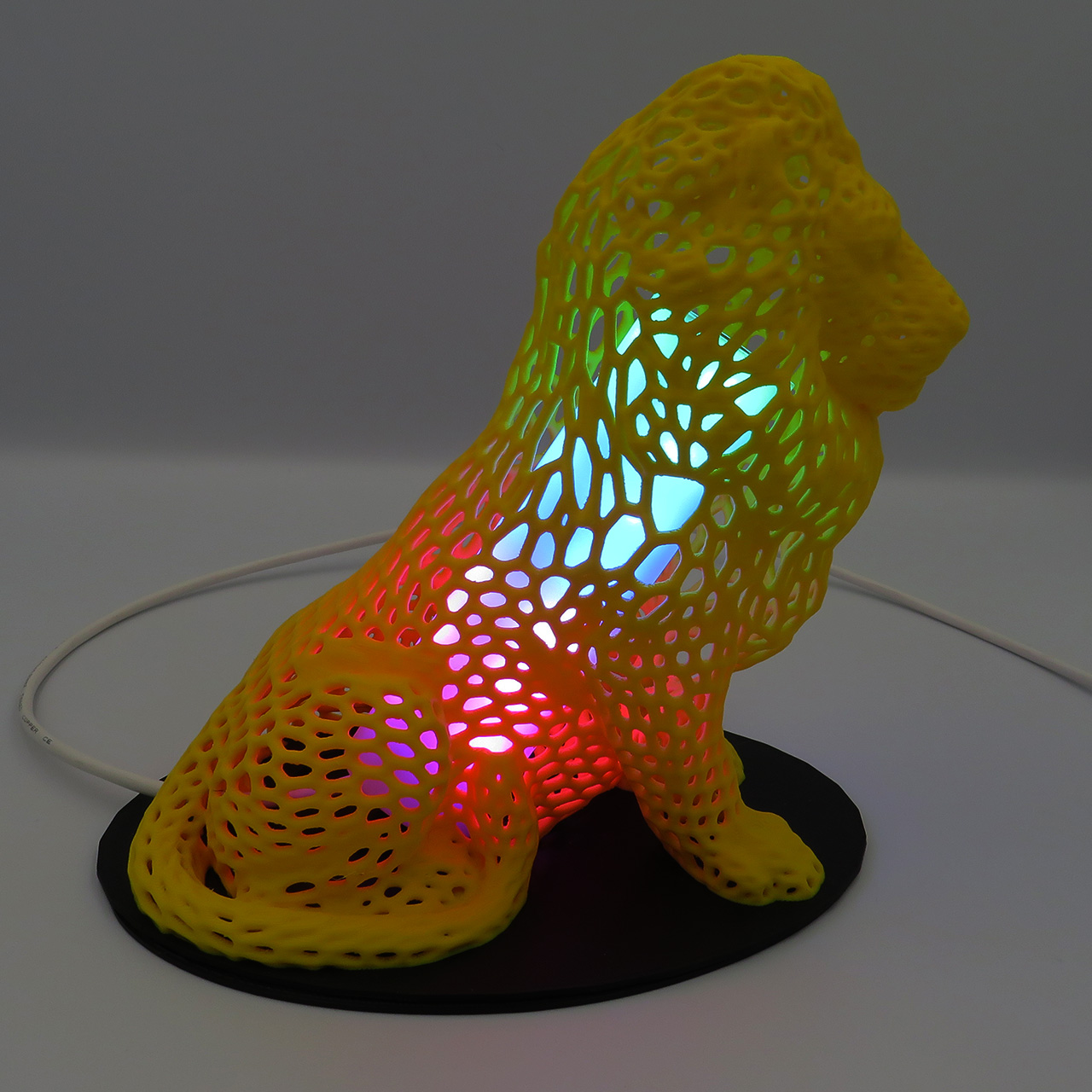 03 Liutas su ertmemis