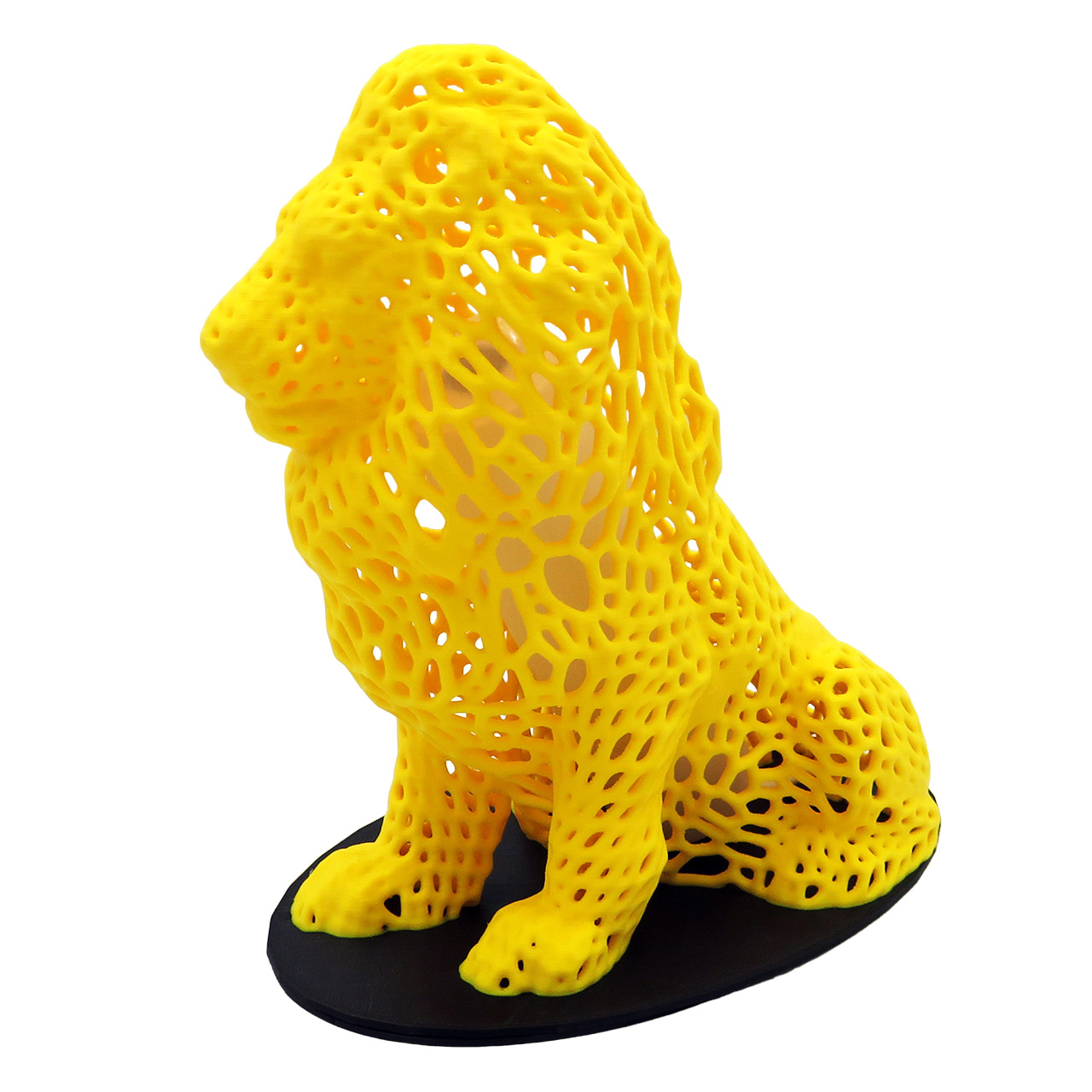 04 Liutas su ertmemis