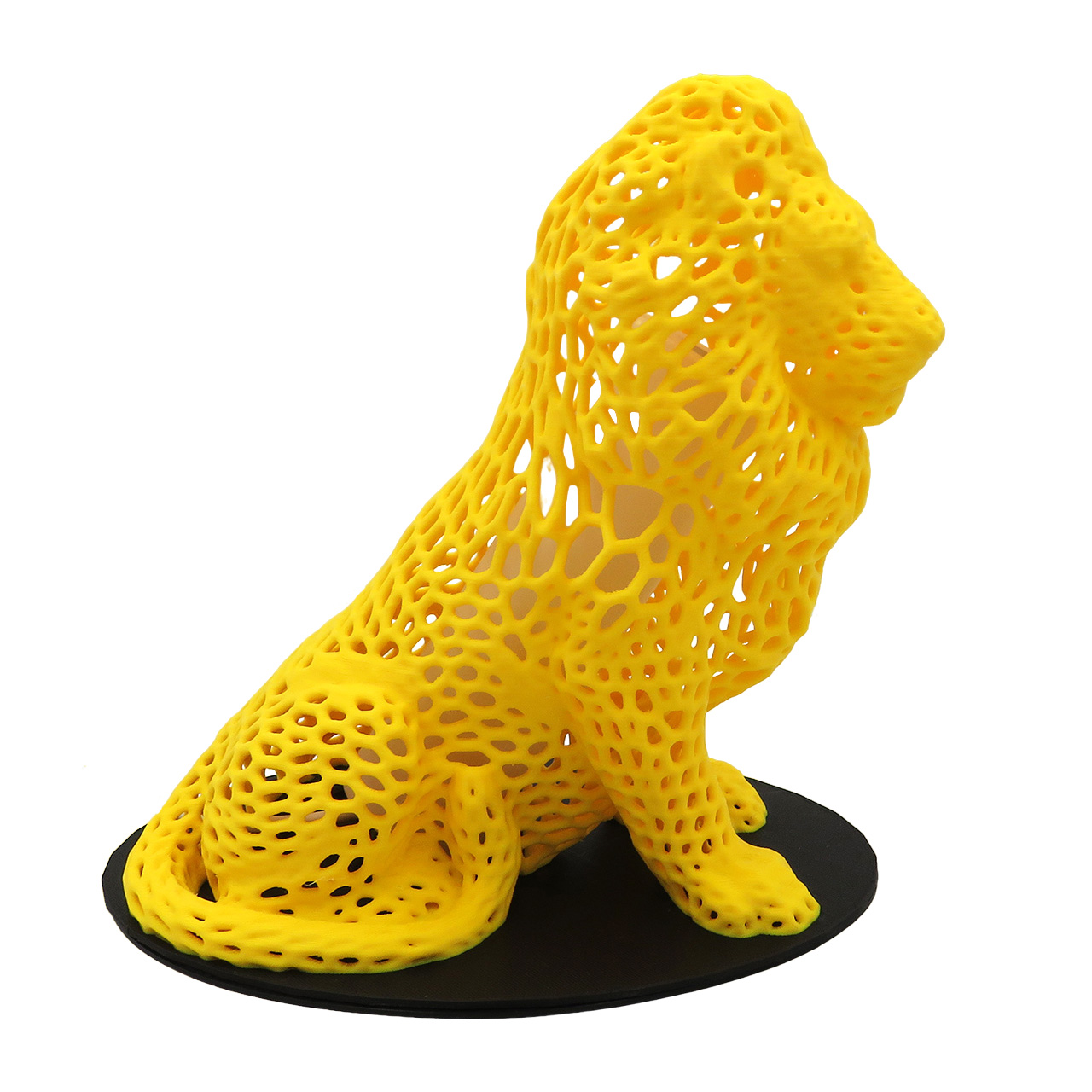 05 Liutas su ertmemis